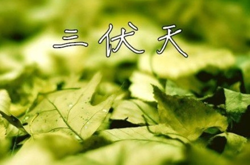 三伏天如何养生