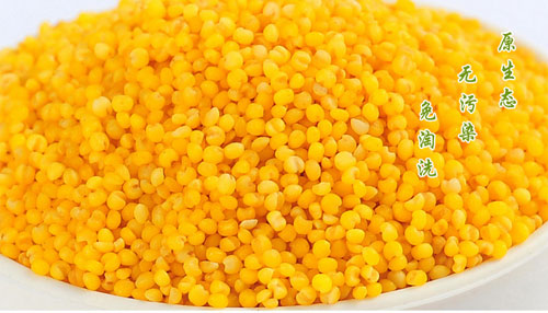 山东济南金乡县——马坡金谷小米
