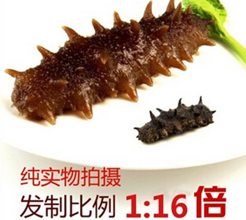 大连淡干海参