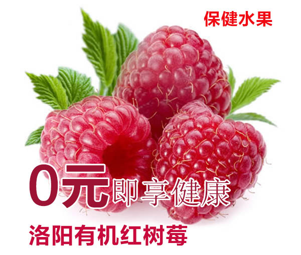 【征集活动】8月与健康莓完莓了！