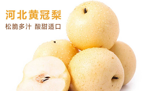 河北赵县皇冠梨