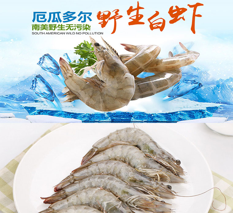 厄瓜多尔野生白虾