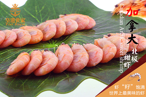 加拿大北极甜虾