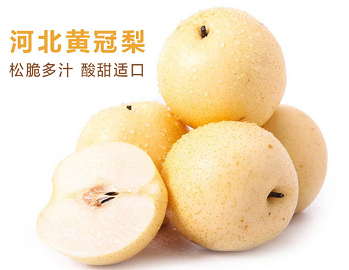 先尝鲜 河北赵县皇冠梨