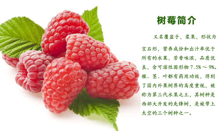 树莓