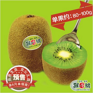 先尝鲜网基地猕猴桃