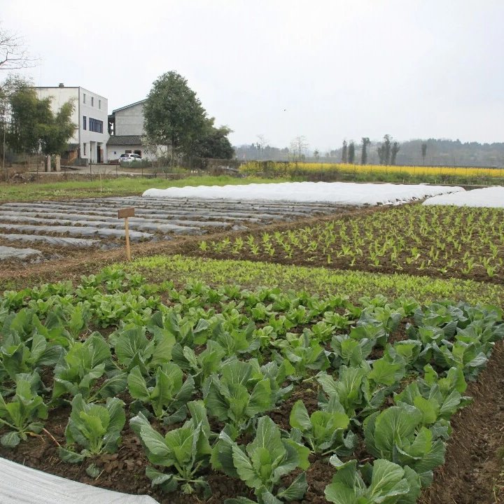 寻找同样热爱生活热爱自然，志同道合的你 我有一个梦想——“身在城市、尽享田园”，