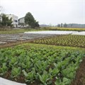 寻找同样热爱生活热爱自然，志同道合的你 我有一个梦想——“身在城市、尽享田园”，