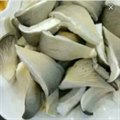 平菇