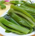 海白菜