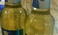 冰冻啤酒勇闯天涯