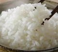 米饭