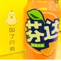 芬达300ml    单点不送