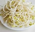 豆芽