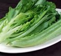凤尾