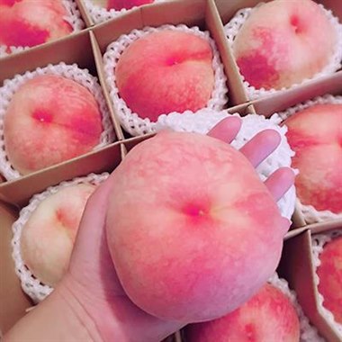 【已售罄】加纳岩大桃