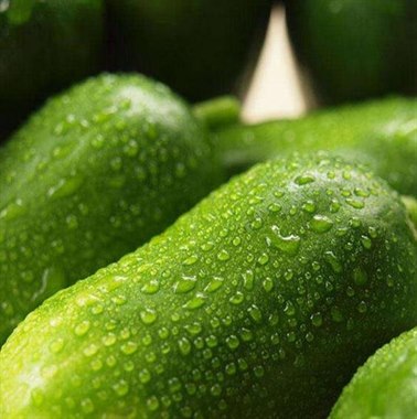 【已售罄 】金童玉女水果小黄瓜