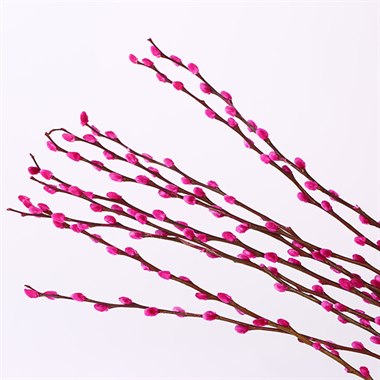 银柳-桃红