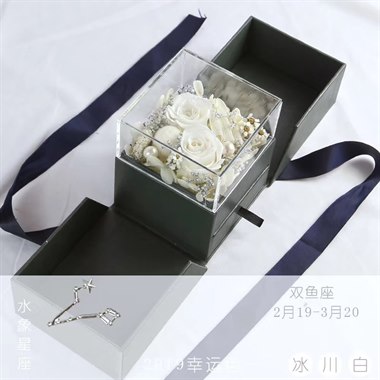 十二星座 永生花礼盒
