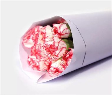 单头康乃馨（不低于5色）