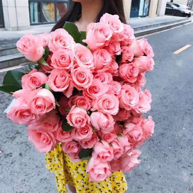 戴安娜（不售后）