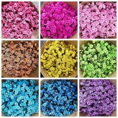 吸色彩星（颜色随机）