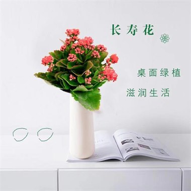 10月14号补交的运费、打包费