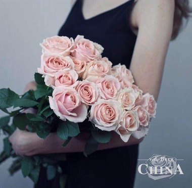 珍珠雪山（热卖）