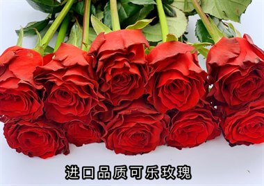 迪瑞特-可乐（热卖）