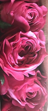 长相思（热卖）