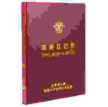 成文厚 财务用品账本/账册 16开大本银行日记账 银行存款账 借贷式110