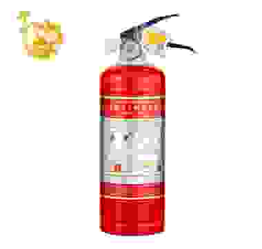 神龙 灭火器 干粉灭火器1公斤 车载家用灭火器1kg MFZ/ABC1 消防器材