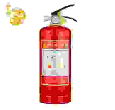神龙 灭火器 干粉灭火器5公斤 车载家用及商用灭火器5kg MFZ/ABC5 消防器材