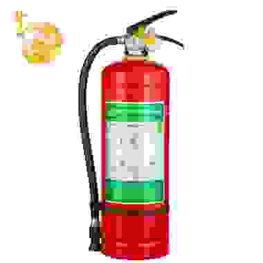 神龙 灭火器 水基型（水雾）环保灭火器3升 车载家用及商用灭火器3L MSWZ/3 消防器材